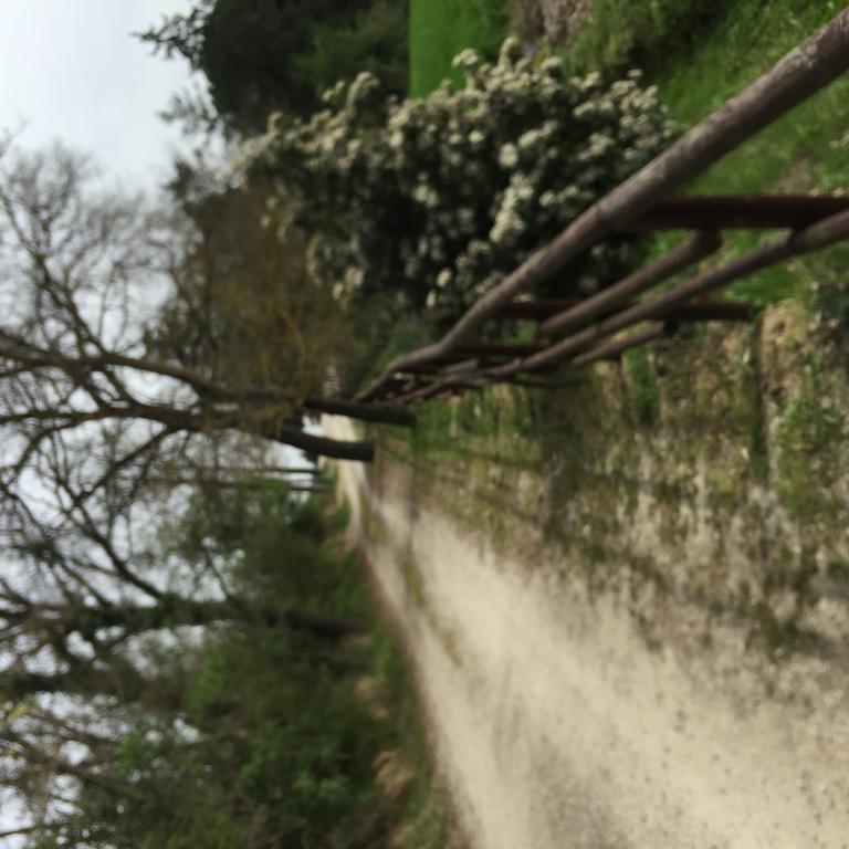 Azienda Agrituristica I Tre Casali Magione Buitenkant foto