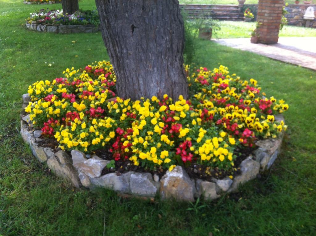 Azienda Agrituristica I Tre Casali Magione Kamer foto
