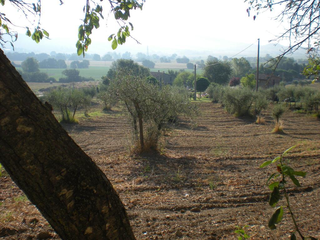 Azienda Agrituristica I Tre Casali Magione Buitenkant foto